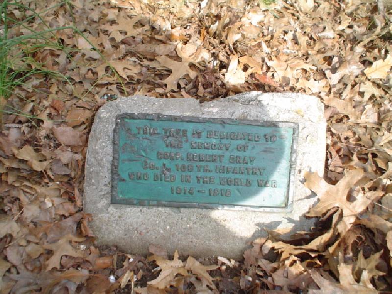 Zoom on the image : Corporal Robert Gray Tree Marker